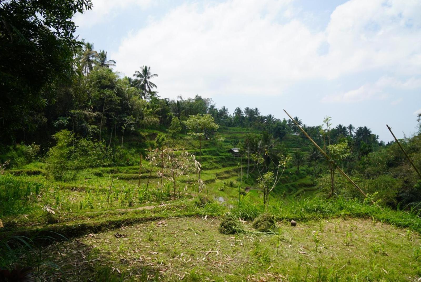 Tetebatu Indah Homestay חדר תמונה
