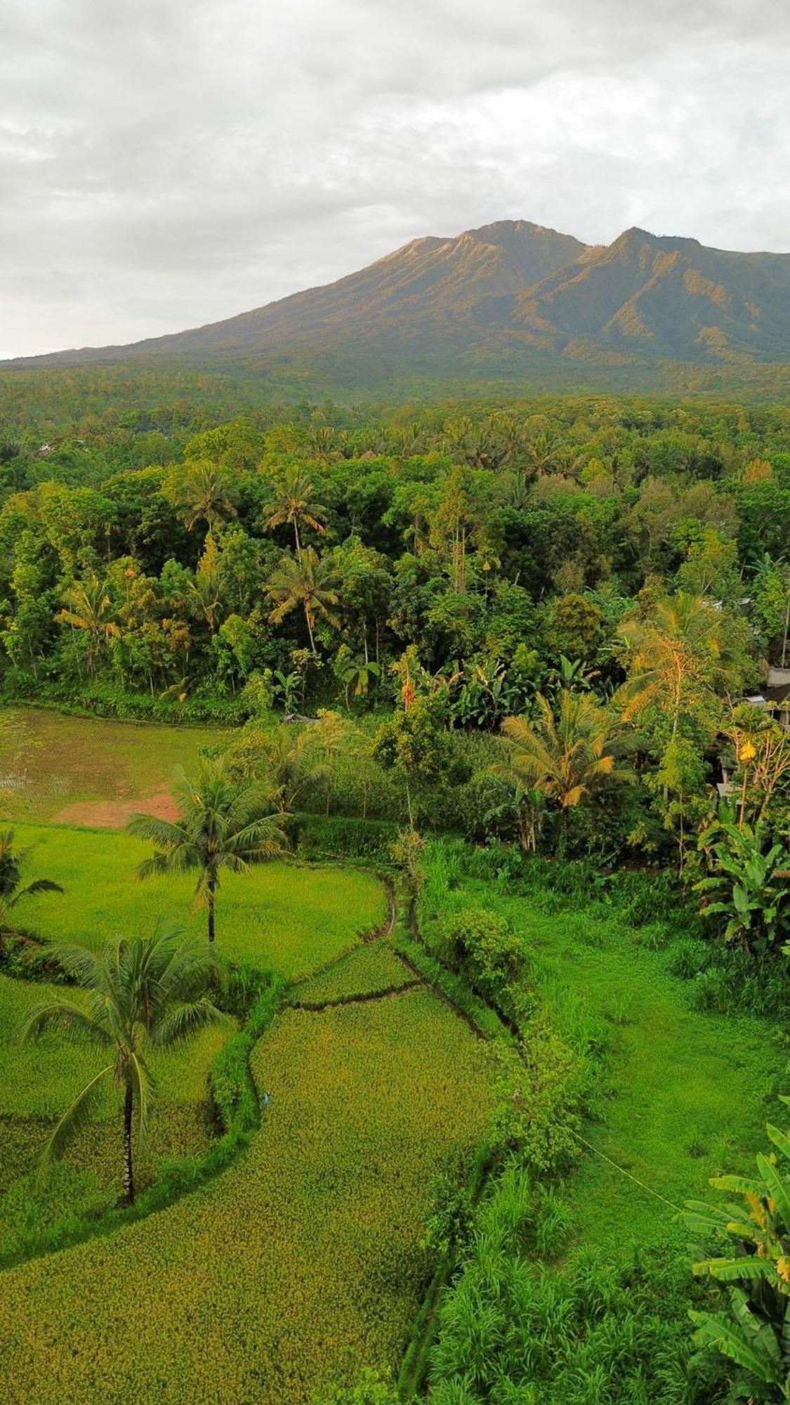 Tetebatu Indah Homestay מראה חיצוני תמונה