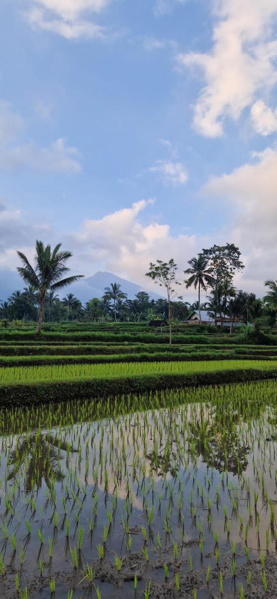 Tetebatu Indah Homestay מראה חיצוני תמונה